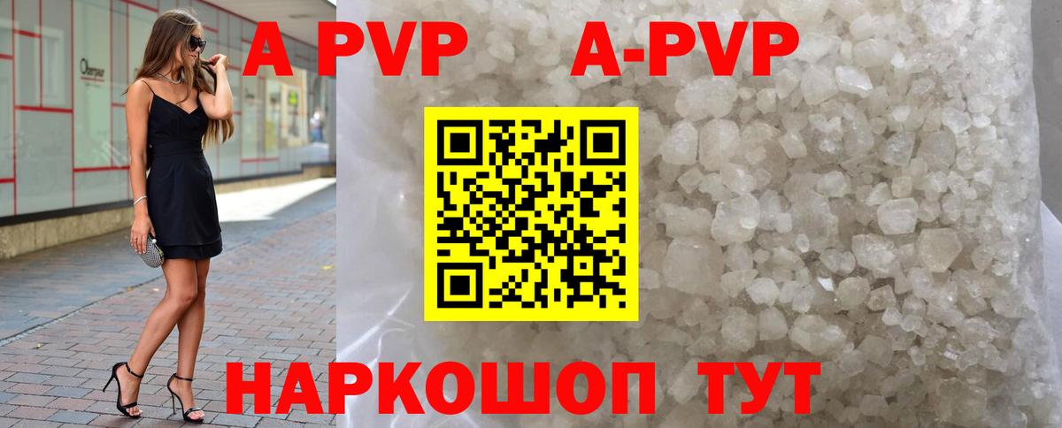 A-PVP СК Великий Новгород