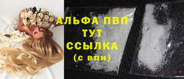 гидра Волоколамск