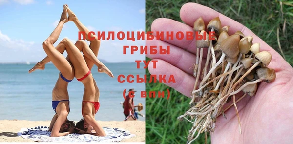 крисы Володарск
