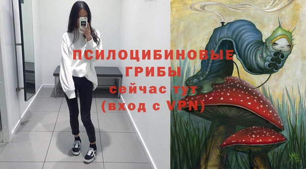молекула духа Волосово