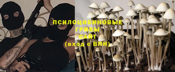 молекула духа Волосово