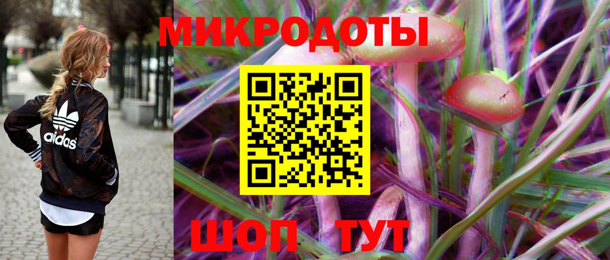 Великий Новгород  Псилоцибиновые грибы ЛСД  Вход с VPN  Галлюциногенные грибы Cubensis 