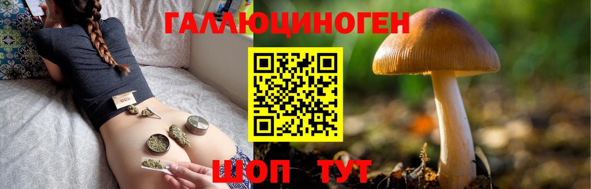 Галлюциногенные грибы Cubensis Великий Новгород
